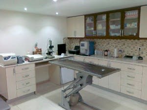 Beşiktaş Veteriner Tadilatı