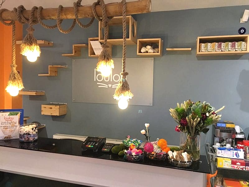 Ataşehir Petshop Dekorasyonu