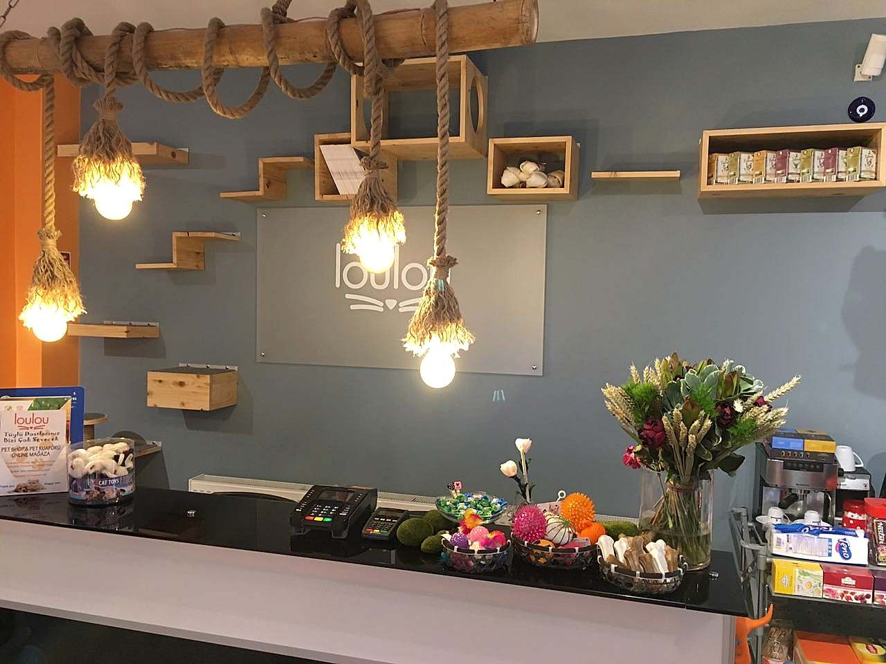 Ataşehir Petshop Dekorasyonu